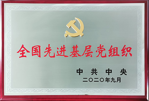 “全国先进基层党组织”奖牌